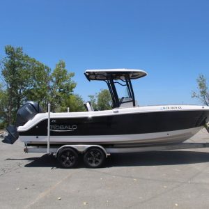 2021 Robalo R242