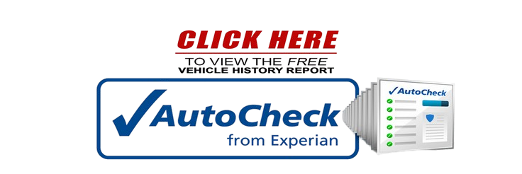Download CarCheck Report
